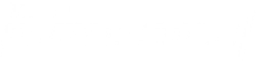 The Cruiser Store